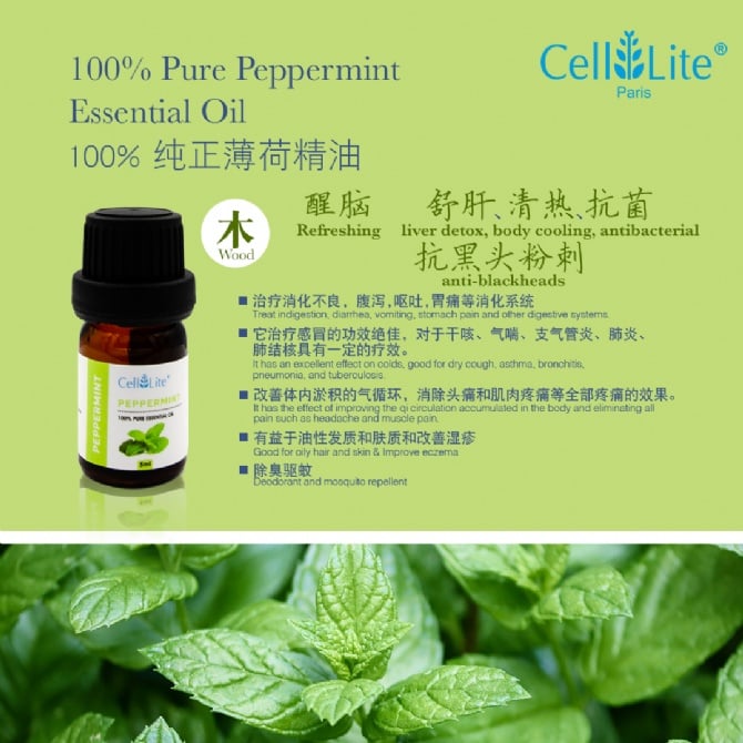 Peppermint Essential Oil