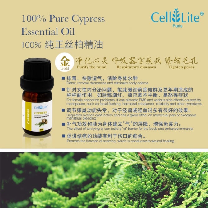 Cypress Essential Oil