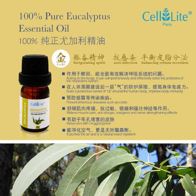 Eucalyptus Essential Oil