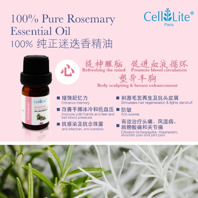 Rosemary Essential Oil