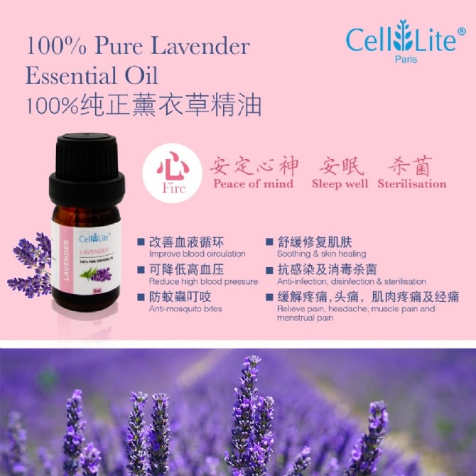 Lavender Essential Oil